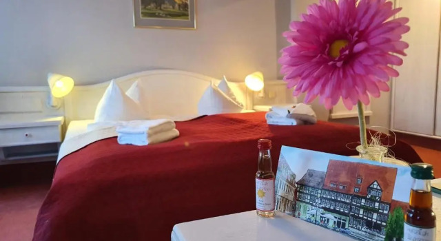 Двухместный номер Standard Hotel Zur Goldenen Sonne