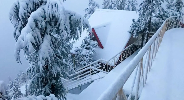 KVR Clarks Inn, Kufri