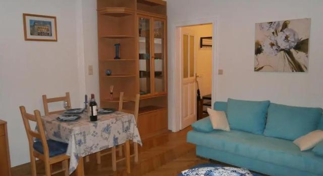 Apartment Vienna 55