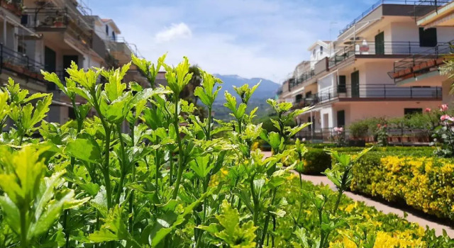 Al giardino SantAnna, Book Hotel Hotels in Sicily with a Pool, Swimming Pool