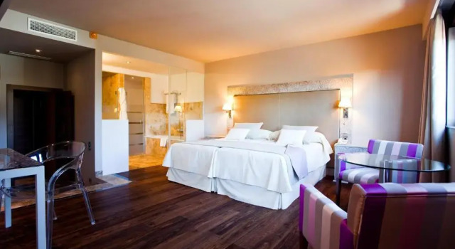 Трёхместный номер Hotel & Winery Señorío de Nevada