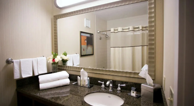 Двухместный номер Standard с балконом DoubleTree by Hilton Minneapolis Park Place