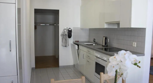Апартаменты с 2 комнатами Herisau Apartments