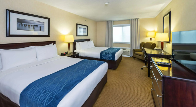 Четырёхместный номер Standard Comfort Inn & Suites