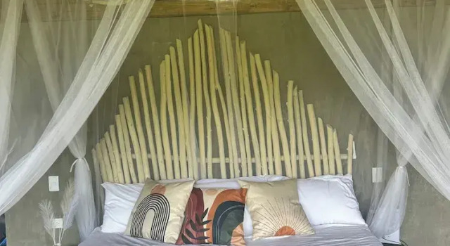 Номер Luxury Dominican Jungle Resort