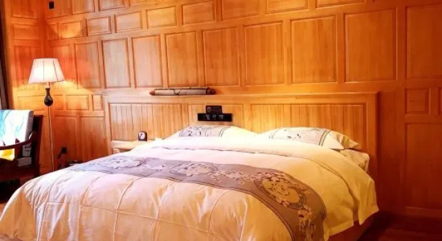 Люкс Standard Rdzong Lhundup Hotel