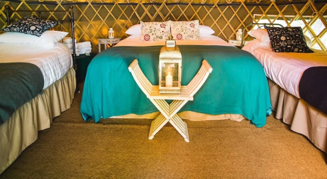 Oak - Yurt