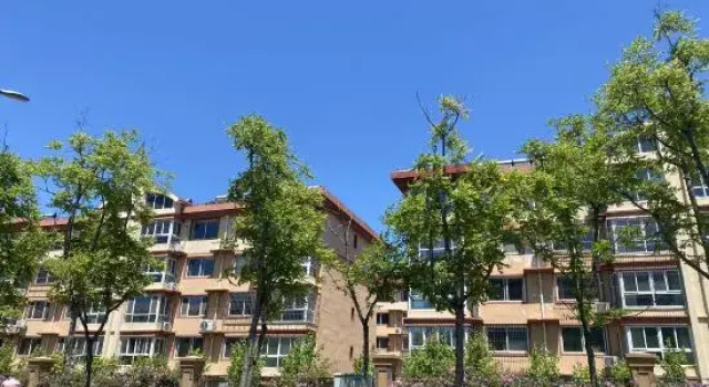 Summer ・ Light boutique homestay, Book Boutique Qinhuangdao Hebei