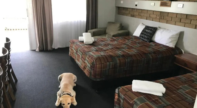 Двухместный номер Standard с видом на горы True Blue Motor Inn