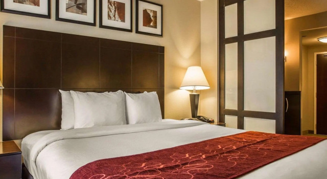 Люкс c 1 комнатой Comfort Suites Huntersville near Lake Norman