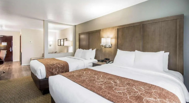Люкс Superior Comfort Suites Columbia I-65