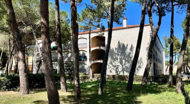 Appartement Argelès-sur-Mer, 1 pièce, 4 personnes - FR-1-225-86