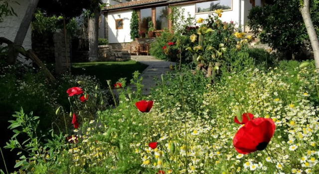 Коттедж с 2 комнатами Garden House