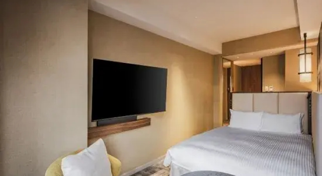Двухместный номер Superior с видом на город Asakusa View Hotel