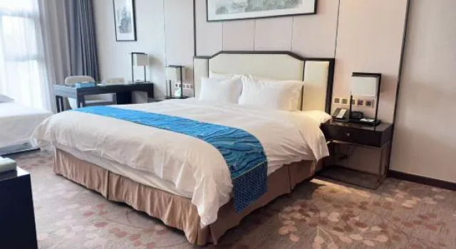 Двухместный люкс Mingfa Pearl Spring Hotel Nanjing