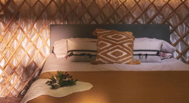 Mushroom Yurt, Prenota Campeggio Campeggi e glamping a Dyfed, Campeggio