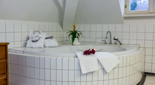 Номер Business Hotel Goldener Falke
