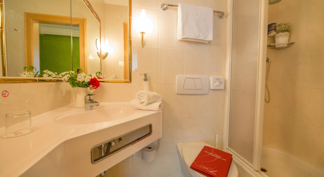 Одноместный номер Standard Sport- und Familienresort Alpenblick