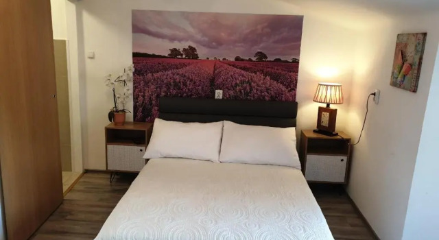 Номер Standard Guesthouse Korzo