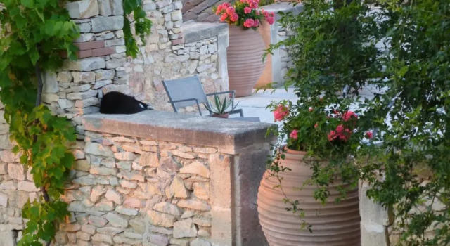 Коттедж L'Enclos du Micocoulier