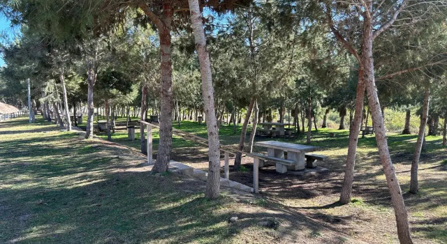 Home S&F, Book Hotel Algorfa Costa Blanca