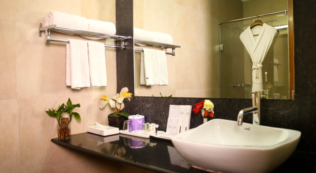 Люкс Executive Polo Towers, Shillong
