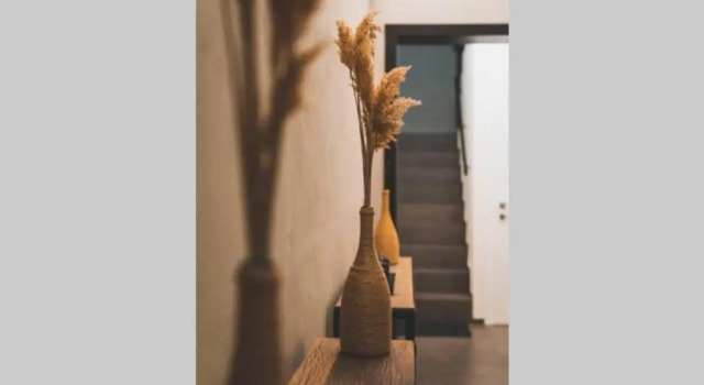 Suite junior Torre 13