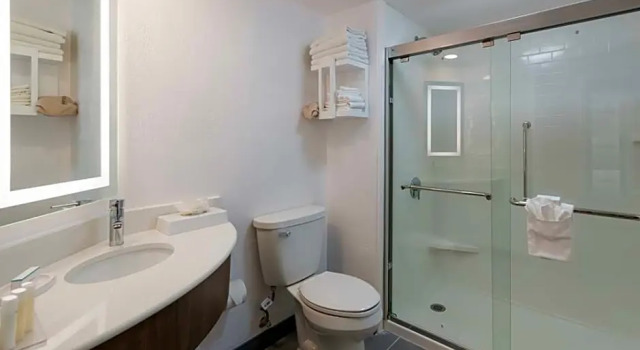 Четырёхместный люкс c 1 комнатой Hampton Inn & Suites Chicago-Hoffman Estates
