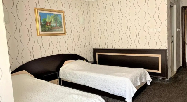 Двухместный номер Standard Hotel Trayana