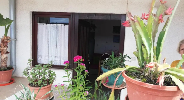 Апартаменты Apartments Ljubica