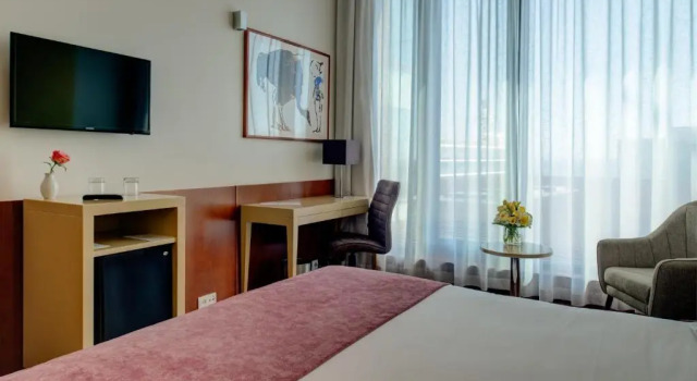 Одноместный номер Standard VIP Executive Arts Hotel