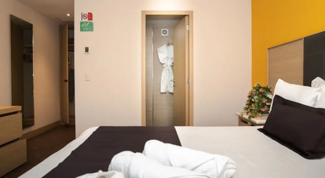 Номер Executive Plaza Poblana