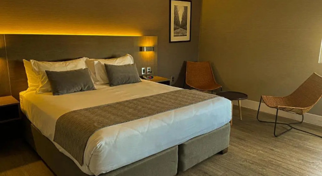 Biznes pokój Hotel Curicó