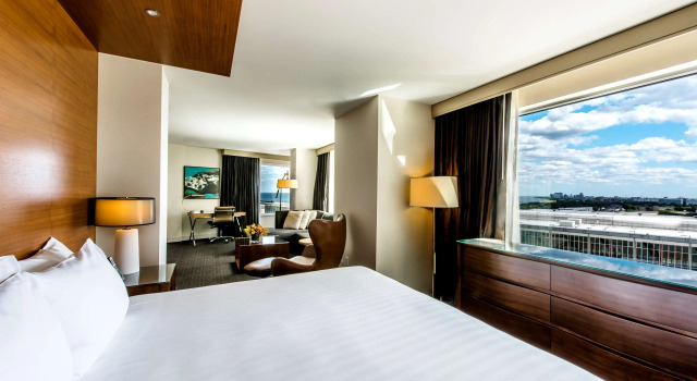 Двухместный номер Deluxe Hyatt Regency McCormick Place Chicago