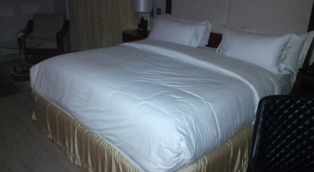 Одноместный номер Standard Pearlwort Hotel and Suites