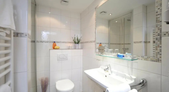 Одноместный номер Standard Hotel Lellmann