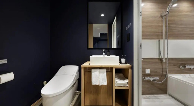 Двухместный номер Deluxe the square hotel GINZA
