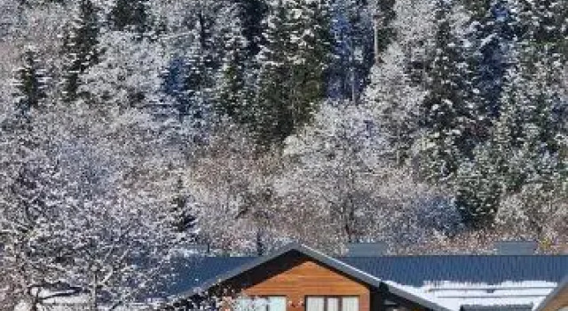 Eco-Friendly studio near Didveli, Rezerwuj Hotel Bakuriani Samckhe Javakheti