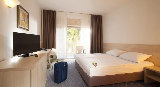 Двухместный номер Comfort с балконом Hotel Vesna