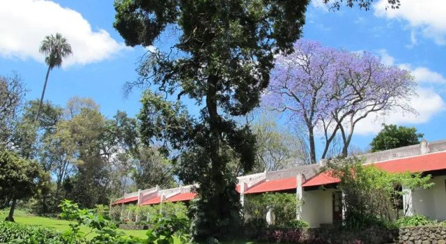 Двухместный номер Standard Ngare Sero Mountain Lodge