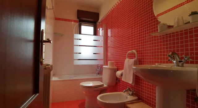 Одноместный номер Standard Hotel El Trasgu