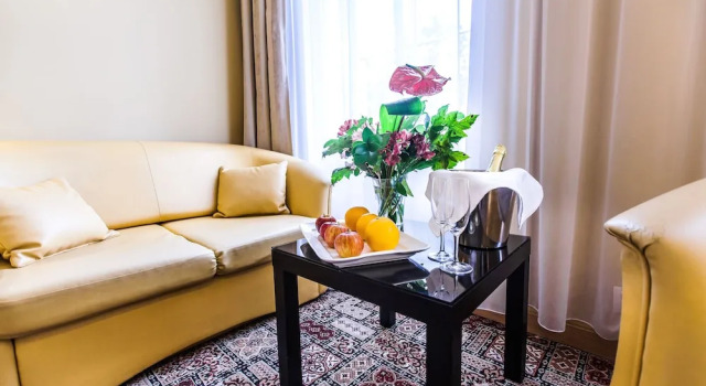 Номер Comfort Spa Hotel Panorama