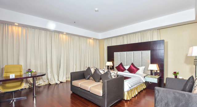 Двухместный номер Deluxe Dara Airport Hotel