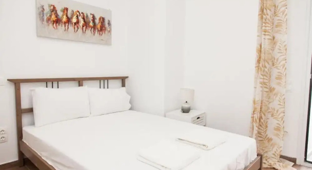 Gorgeous Apartment in Athens GTD8280-02