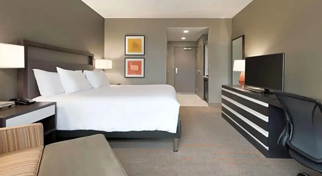 Номер Premium Hilton Garden Inn Rochester - University & Medical Center