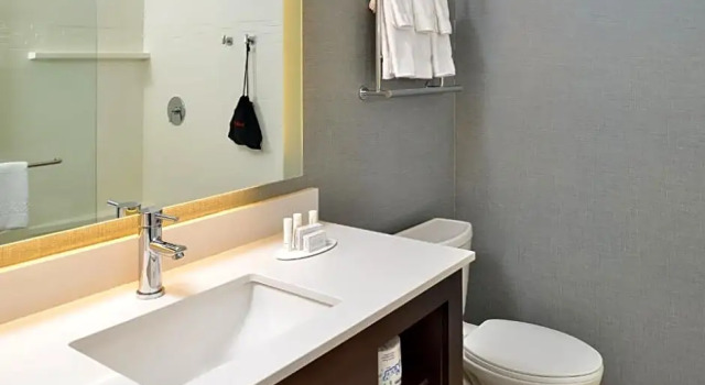 Люкс Hampton Inn & Suites Des Moines Downtown
