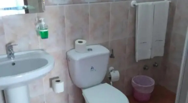 Номер Standard Quartos Abelha