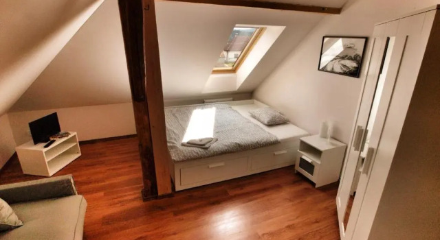 Номер Standard Hotel Pod Kokšínem
