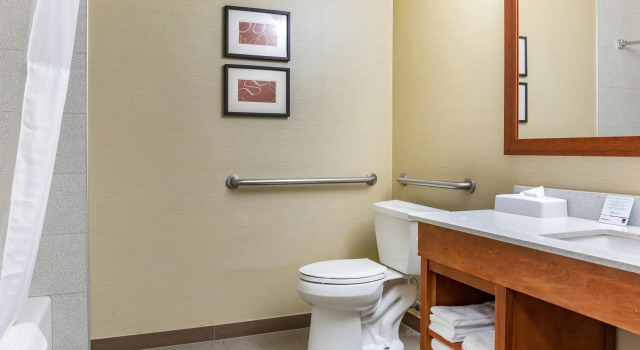 Двухместный люкс Comfort Suites Dover University Area