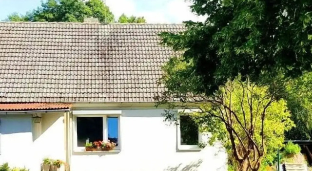 Номер Standard Mühle Tornow am Wentowsee
